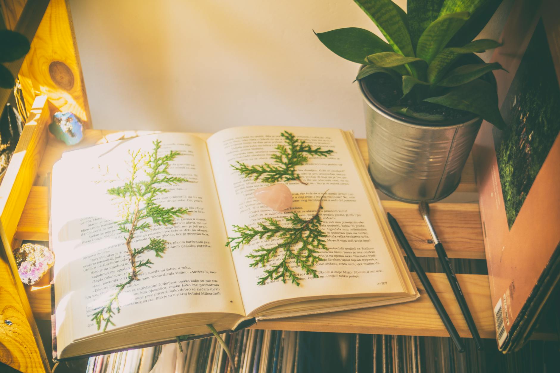 Every age, every page